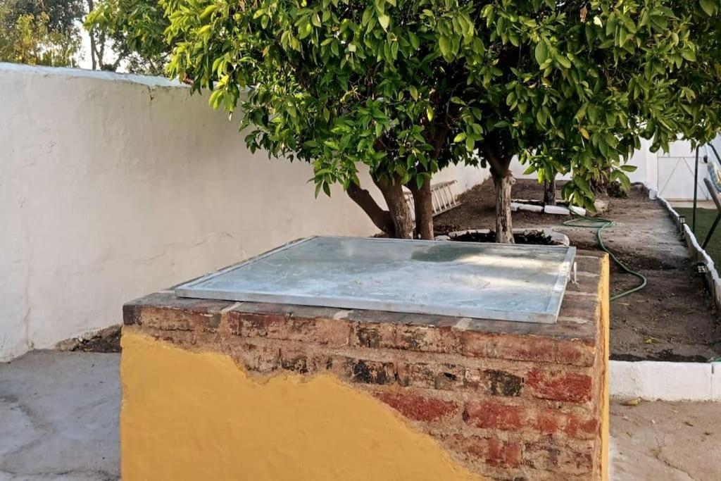Willa A Casa Do Barqueiro- Alentejo Pedrogao  Zewnętrze zdjęcie